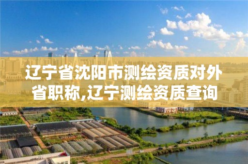 遼寧省沈陽市測繪資質對外省職稱,遼寧測繪資質查詢