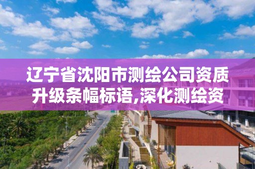 遼寧省沈陽市測繪公司資質升級條幅標語,深化測繪資質改革