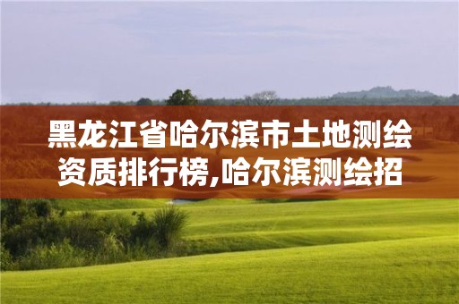 黑龍江省哈爾濱市土地測繪資質排行榜,哈爾濱測繪招聘信息。