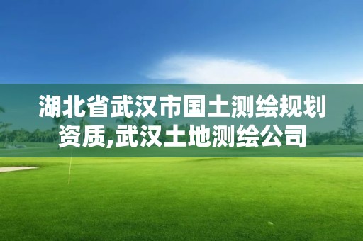 湖北省武漢市國(guó)土測(cè)繪規(guī)劃資質(zhì),武漢土地測(cè)繪公司