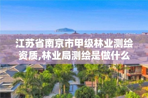 江蘇省南京市甲級(jí)林業(yè)測(cè)繪資質(zhì),林業(yè)局測(cè)繪是做什么的