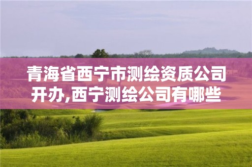 青海省西寧市測繪資質公司開辦,西寧測繪公司有哪些