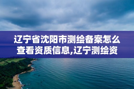 遼寧省沈陽市測繪備案怎么查看資質信息,遼寧測繪資質查詢