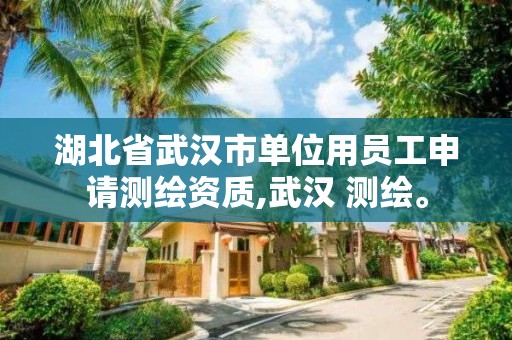 湖北省武漢市單位用員工申請測繪資質,武漢 測繪。