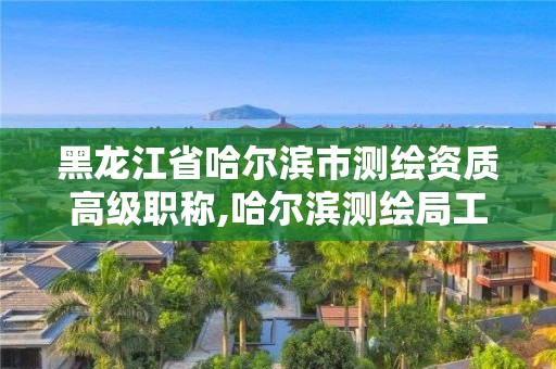 黑龍江省哈爾濱市測(cè)繪資質(zhì)高級(jí)職稱,哈爾濱測(cè)繪局工資怎么樣