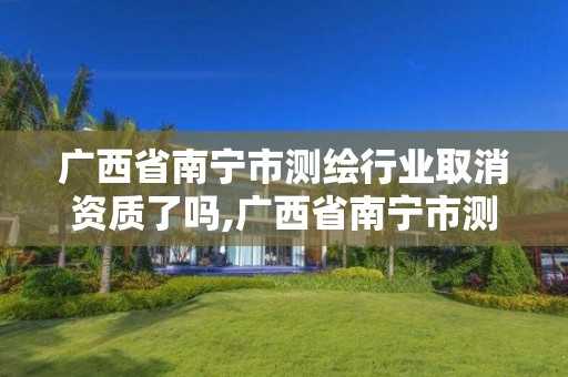 廣西省南寧市測繪行業(yè)取消資質了嗎,廣西省南寧市測繪行業(yè)取消資質了嗎最新消息