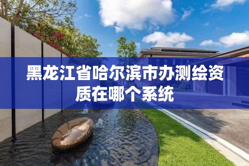 黑龍江省哈爾濱市辦測繪資質在哪個系統