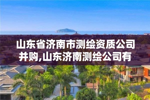 山東省濟南市測繪資質公司并購,山東濟南測繪公司有哪些