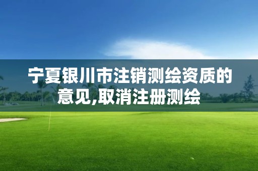 寧夏銀川市注銷測繪資質的意見,取消注冊測繪