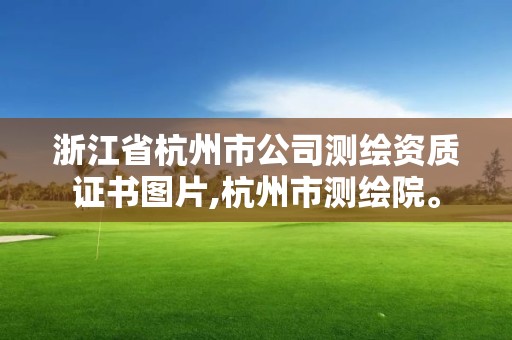 浙江省杭州市公司測(cè)繪資質(zhì)證書圖片,杭州市測(cè)繪院。