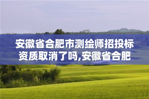 安徽省合肥市測繪師招投標資質取消了嗎,安徽省合肥市測繪師招投標資質取消了嗎今年