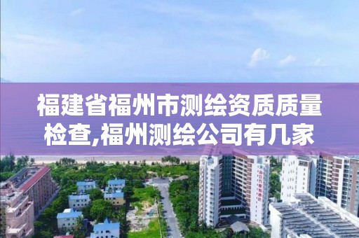 福建省福州市測繪資質(zhì)質(zhì)量檢查,福州測繪公司有幾家