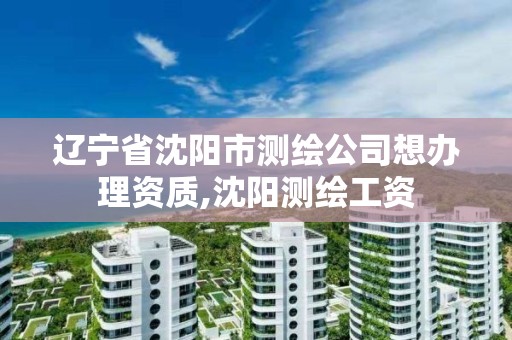 遼寧省沈陽市測繪公司想辦理資質(zhì),沈陽測繪工資