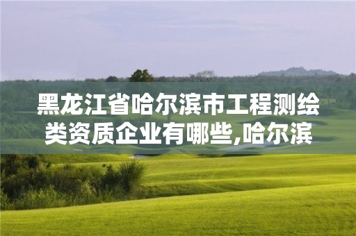 黑龍江省哈爾濱市工程測繪類資質企業有哪些,哈爾濱測繪學校。