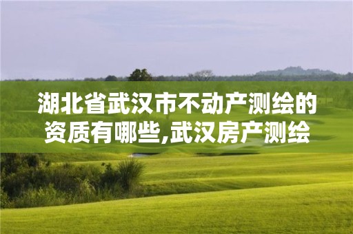 湖北省武漢市不動產(chǎn)測繪的資質(zhì)有哪些,武漢房產(chǎn)測繪中心待遇怎么樣