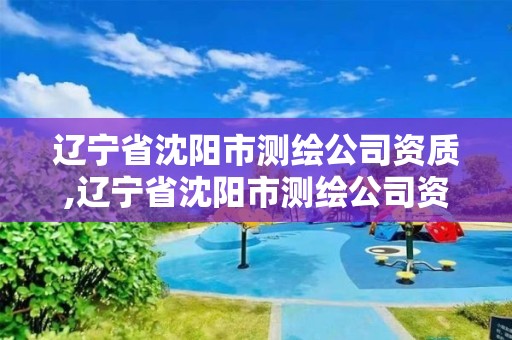 遼寧省沈陽市測繪公司資質,遼寧省沈陽市測繪公司資質公示