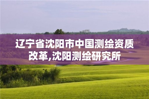 遼寧省沈陽(yáng)市中國(guó)測(cè)繪資質(zhì)改革,沈陽(yáng)測(cè)繪研究所