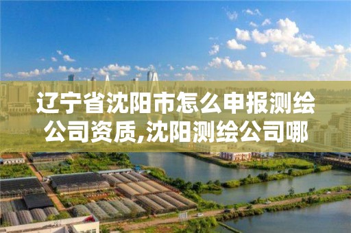 遼寧省沈陽市怎么申報測繪公司資質,沈陽測繪公司哪家強哪家好