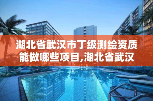 湖北省武漢市丁級測繪資質能做哪些項目,湖北省武漢市丁級測繪資質能做哪些項目的。