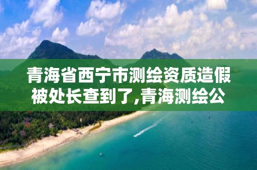 青海省西寧市測繪資質造假被處長查到了,青海測繪公司成員名單。