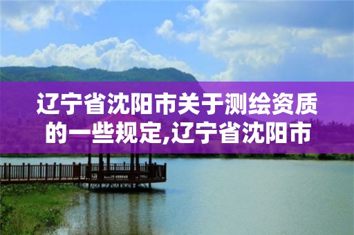 遼寧省沈陽市關于測繪資質的一些規定,遼寧省沈陽市關于測繪資質的一些規定有哪些。