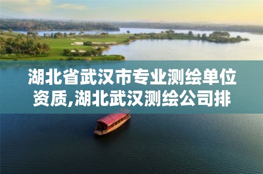湖北省武漢市專業測繪單位資質,湖北武漢測繪公司排行榜