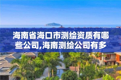 海南省海口市測繪資質(zhì)有哪些公司,海南測繪公司有多少家