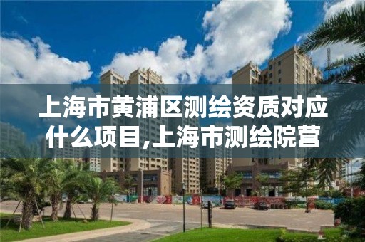 上海市黃浦區測繪資質對應什么項目,上海市測繪院營業時間