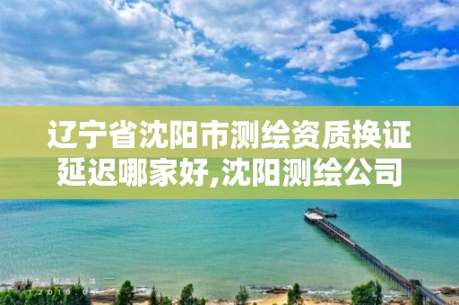 遼寧省沈陽市測繪資質(zhì)換證延遲哪家好,沈陽測繪公司哪家強(qiáng)哪家好