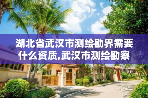 湖北省武漢市測繪勘界需要什么資質(zhì),武漢市測繪勘察設(shè)計甲級資質(zhì)公司