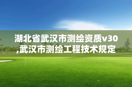 湖北省武漢市測繪資質v30,武漢市測繪工程技術規定