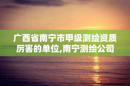 廣西省南寧市甲級測繪資質厲害的單位,南寧測繪公司招聘信息網。