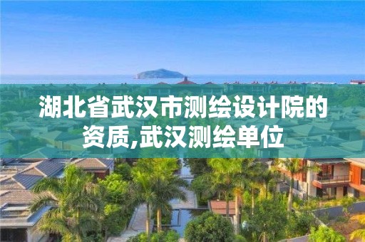 湖北省武漢市測繪設(shè)計院的資質(zhì),武漢測繪單位