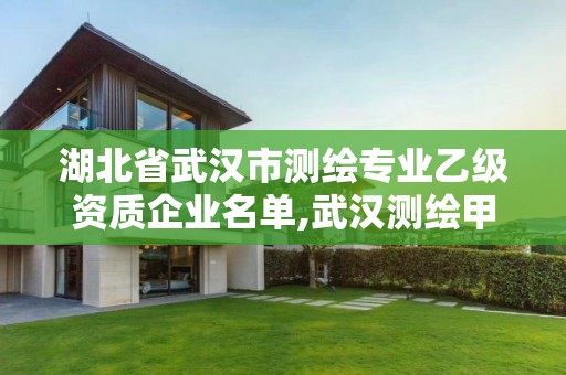 湖北省武漢市測繪專業(yè)乙級資質(zhì)企業(yè)名單,武漢測繪甲級資質(zhì)公司。