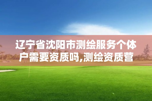 遼寧省沈陽市測繪服務個體戶需要資質嗎,測繪資質營業范圍。