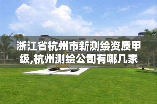 浙江省杭州市新測繪資質甲級,杭州測繪公司有哪幾家