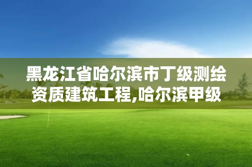 黑龍江省哈爾濱市丁級測繪資質建筑工程,哈爾濱甲級測繪公司