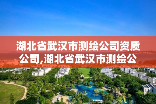 湖北省武漢市測繪公司資質公司,湖北省武漢市測繪公司資質公司有哪些