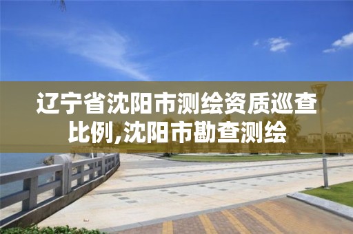 遼寧省沈陽市測繪資質巡查比例,沈陽市勘查測繪