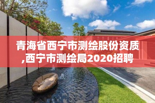 青海省西寧市測繪股份資質,西寧市測繪局2020招聘