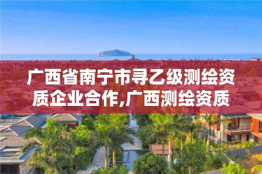 廣西省南寧市尋乙級測繪資質企業合作,廣西測繪資質審批和服務。