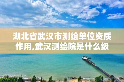 湖北省武漢市測繪單位資質作用,武漢測繪院是什么級別