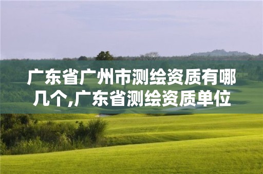 廣東省廣州市測繪資質有哪幾個,廣東省測繪資質單位名單