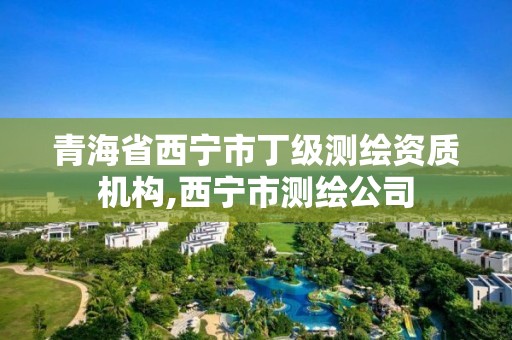 青海省西寧市丁級(jí)測(cè)繪資質(zhì)機(jī)構(gòu),西寧市測(cè)繪公司