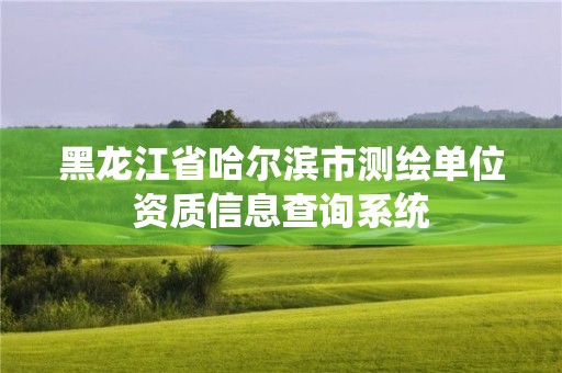 黑龍江省哈爾濱市測繪單位資質(zhì)信息查詢系統(tǒng)