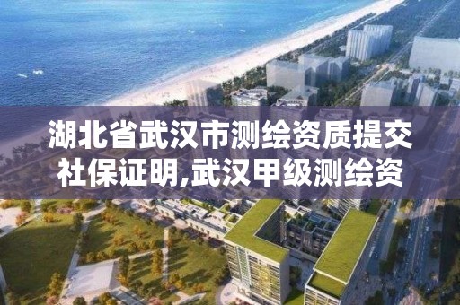 湖北省武漢市測繪資質提交社保證明,武漢甲級測繪資質名錄。