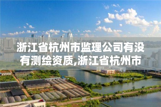 浙江省杭州市監理公司有沒有測繪資質,浙江省杭州市監理公司有沒有測繪資質證書。