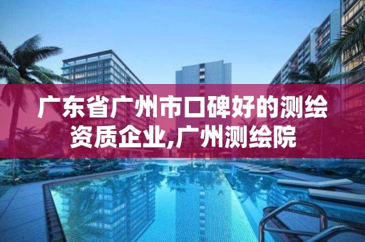 廣東省廣州市口碑好的測繪資質(zhì)企業(yè),廣州測繪院