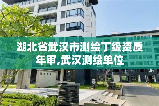 湖北省武漢市測繪丁級資質年審,武漢測繪單位