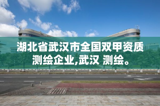 湖北省武漢市全國雙甲資質(zhì)測繪企業(yè),武漢 測繪。